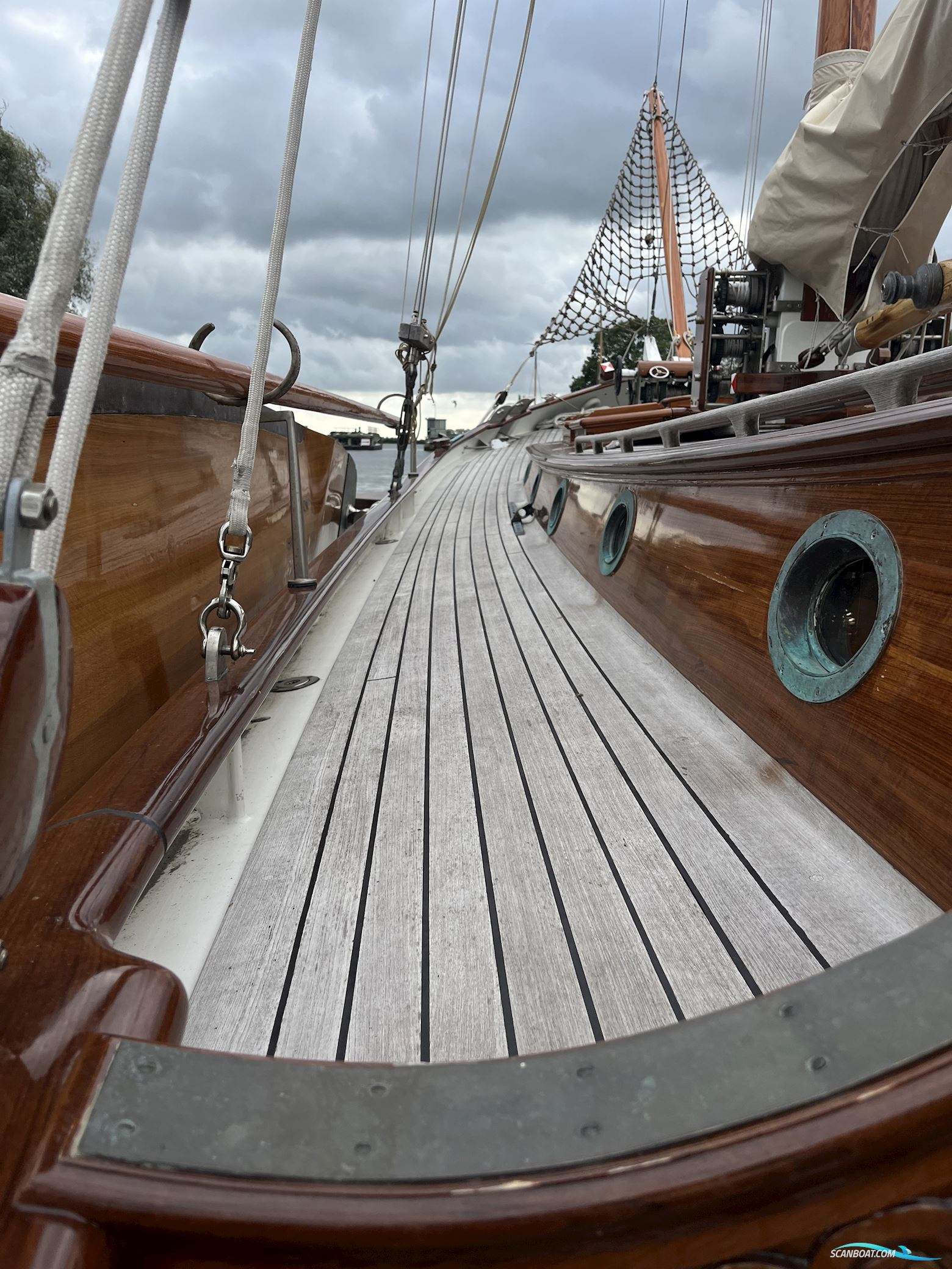 Lemsteraak Gouden Leeuw - Roefaak Hoek Design