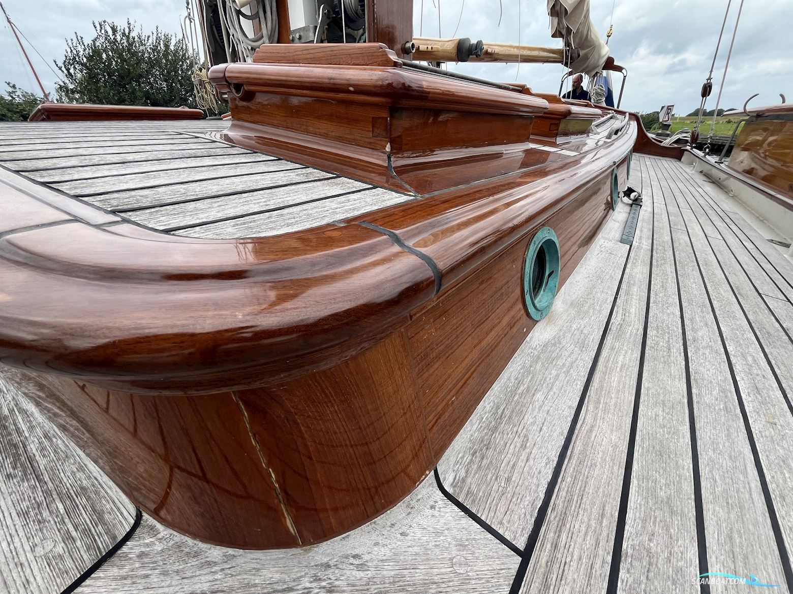 Lemsteraak Gouden Leeuw - Roefaak Hoek Design