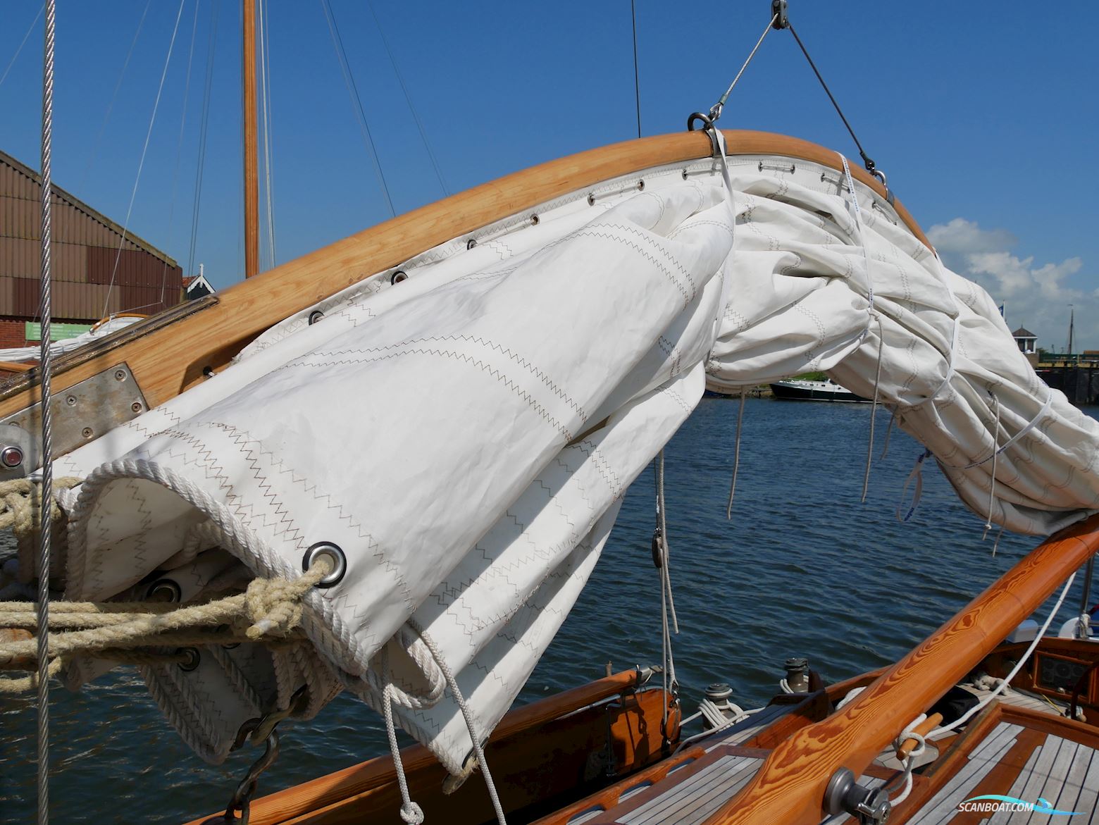 Lemsteraak Jonge Jan - Roefaak