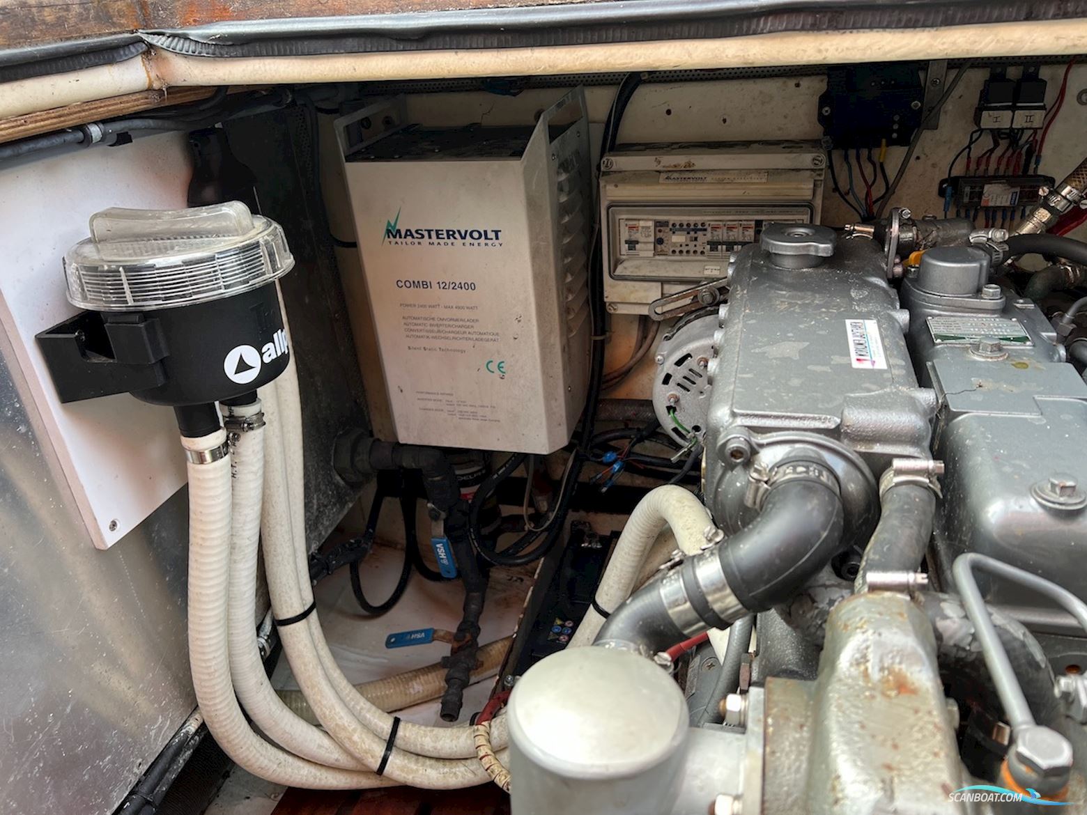 Lemsteraak Jonge Jan - Roefaak