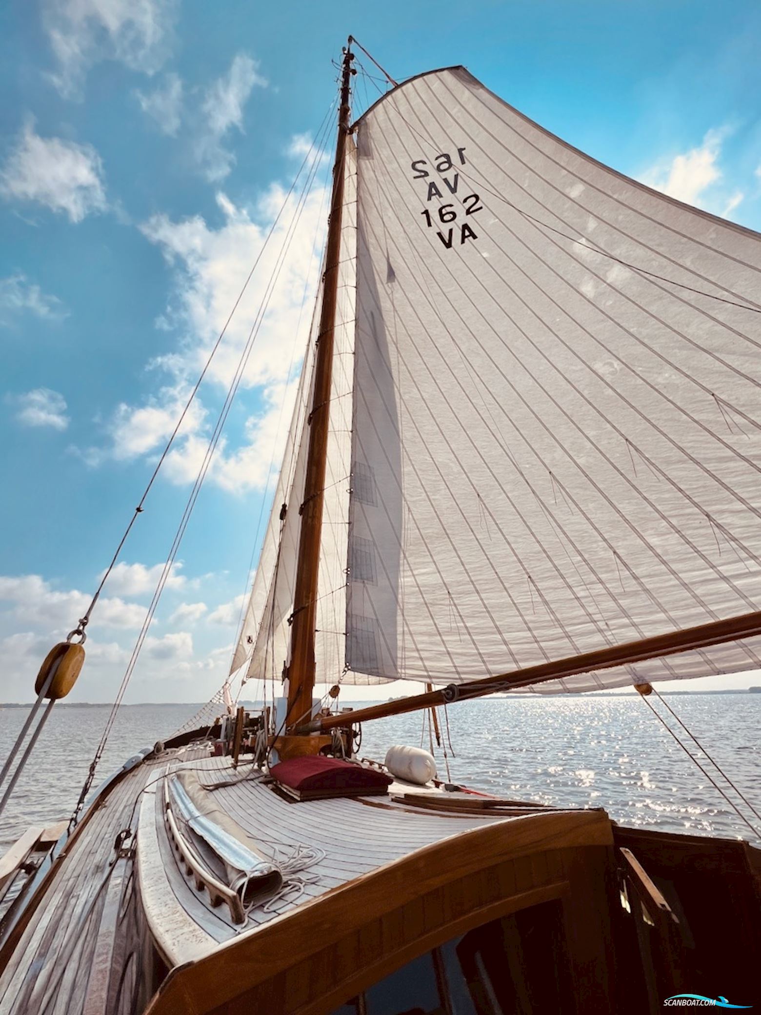 Lemsteraak Jonge Jan - Roefaak