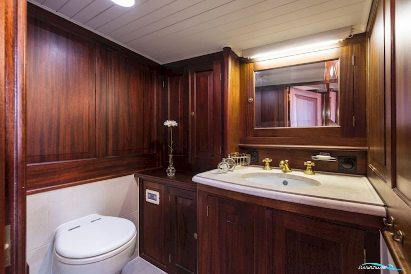 Lemsteraak Roefaak - Otter