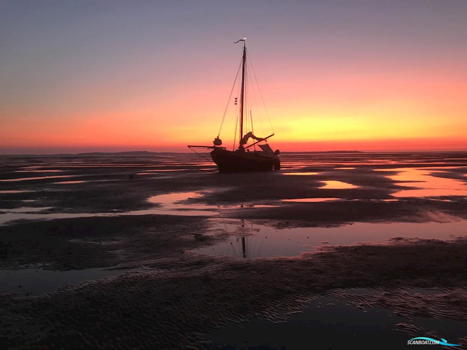 Lemsteraak Roefaak HI 30