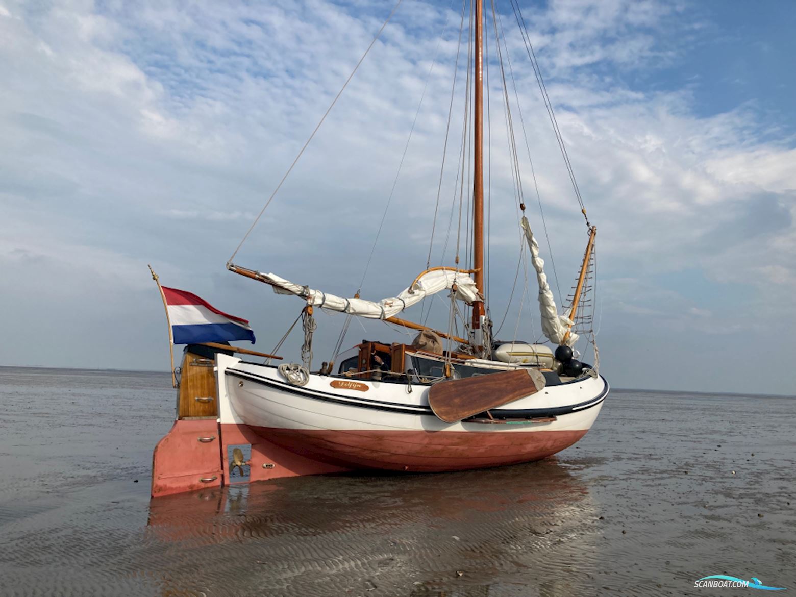 Lemsteraak Roefmodel 1010 - Dolfijn