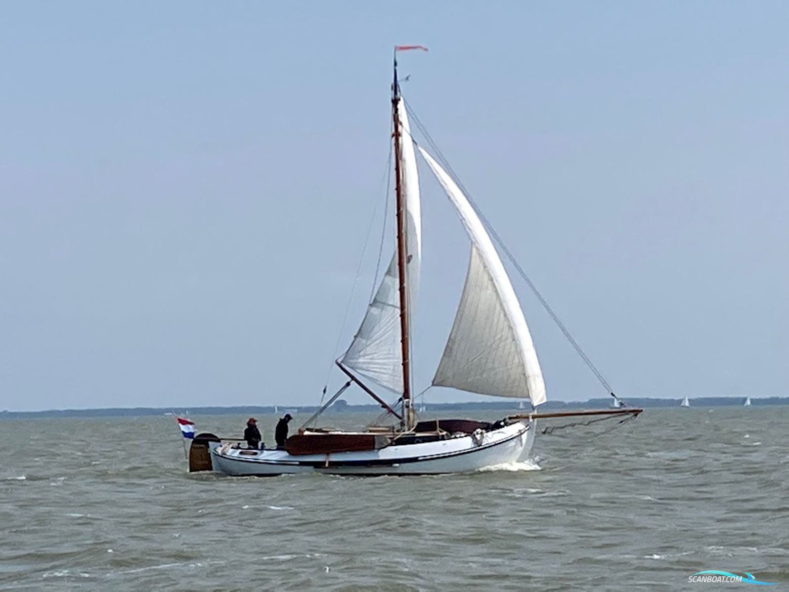 Lemsteraak Roefmodel 1010 - Dolfijn