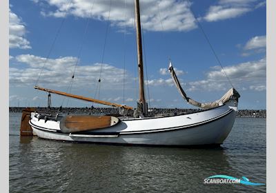 Lemsteraak Visserman - De Blauwe Vinvis Sailingboat 1992, with Craftsman engine, The Netherlands