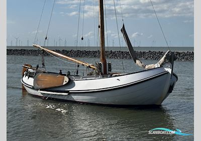 Lemsteraak Visserman - De Blauwe Vinvis Sailingboat 1992, with Craftsman engine, The Netherlands