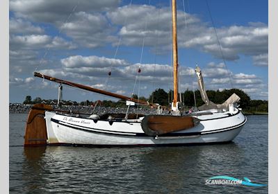 Lemsteraak Visserman - De Blauwe Vinvis Sailingboat 1992, with Craftsman engine, The Netherlands