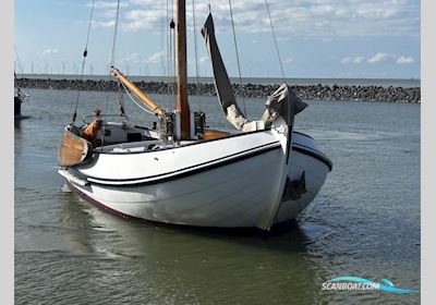Lemsteraak Visserman - De Blauwe Vinvis Sailingboat 1992, with Craftsman engine, The Netherlands