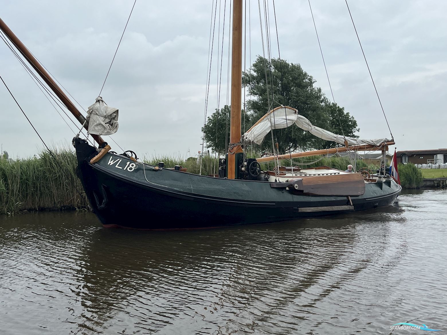 Lemsteraak WL 18 Fasant - Roefuitvoering Jachtuitvoering