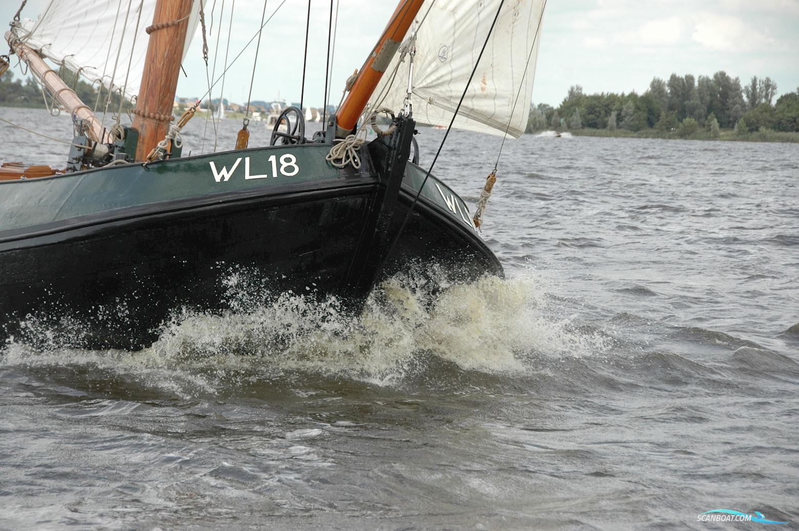 Lemsteraak WL 18 Fasant - Roefuitvoering Jachtuitvoering