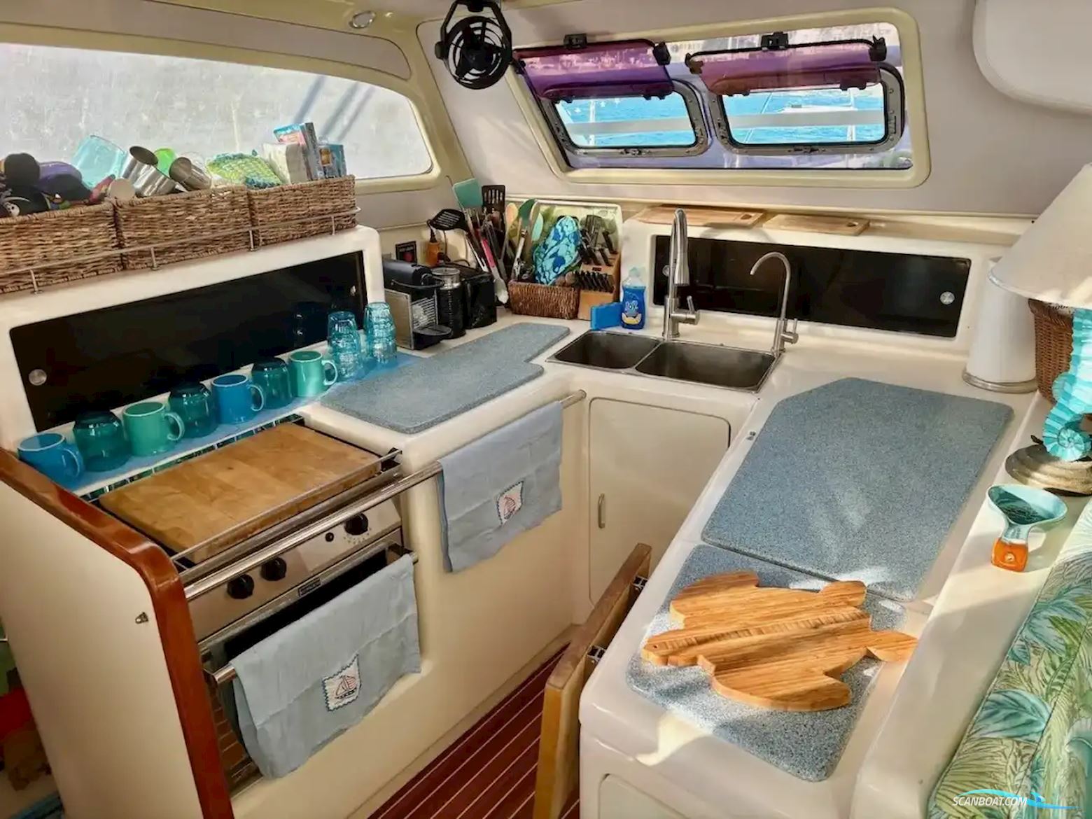 Leopard 38