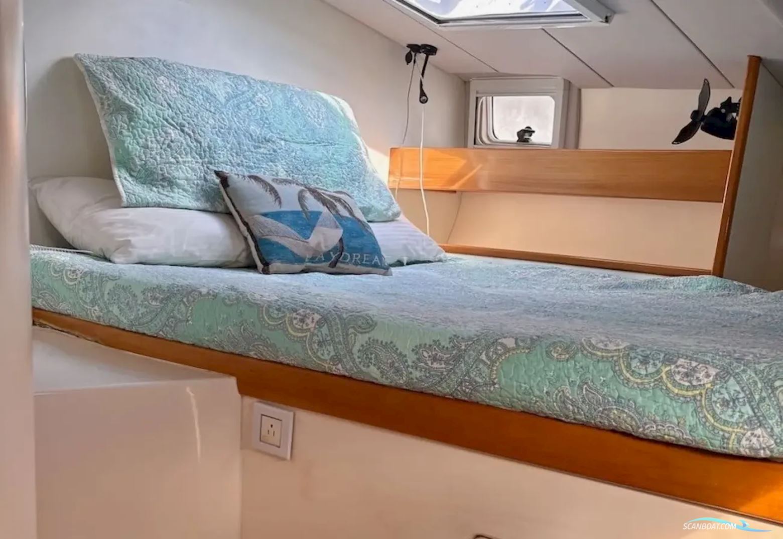 Leopard 38