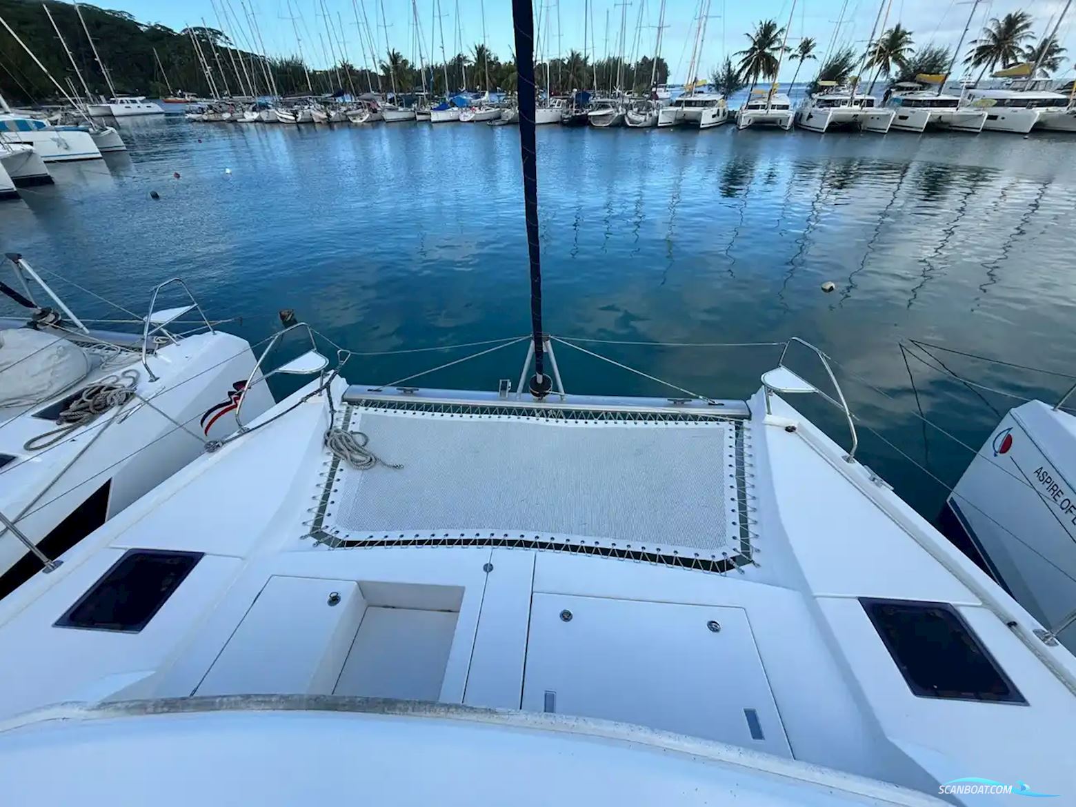 Leopard 40
