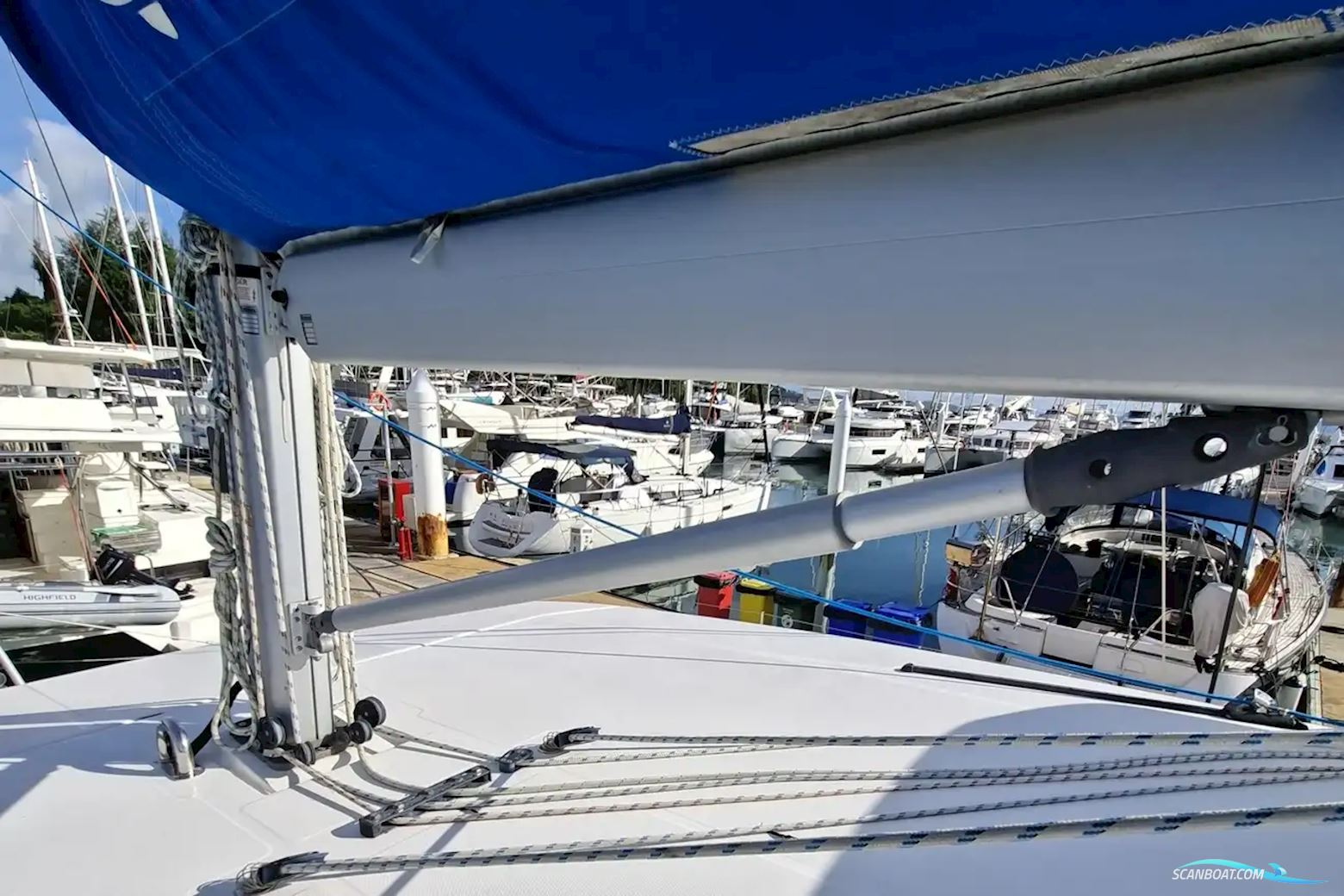 Leopard 40