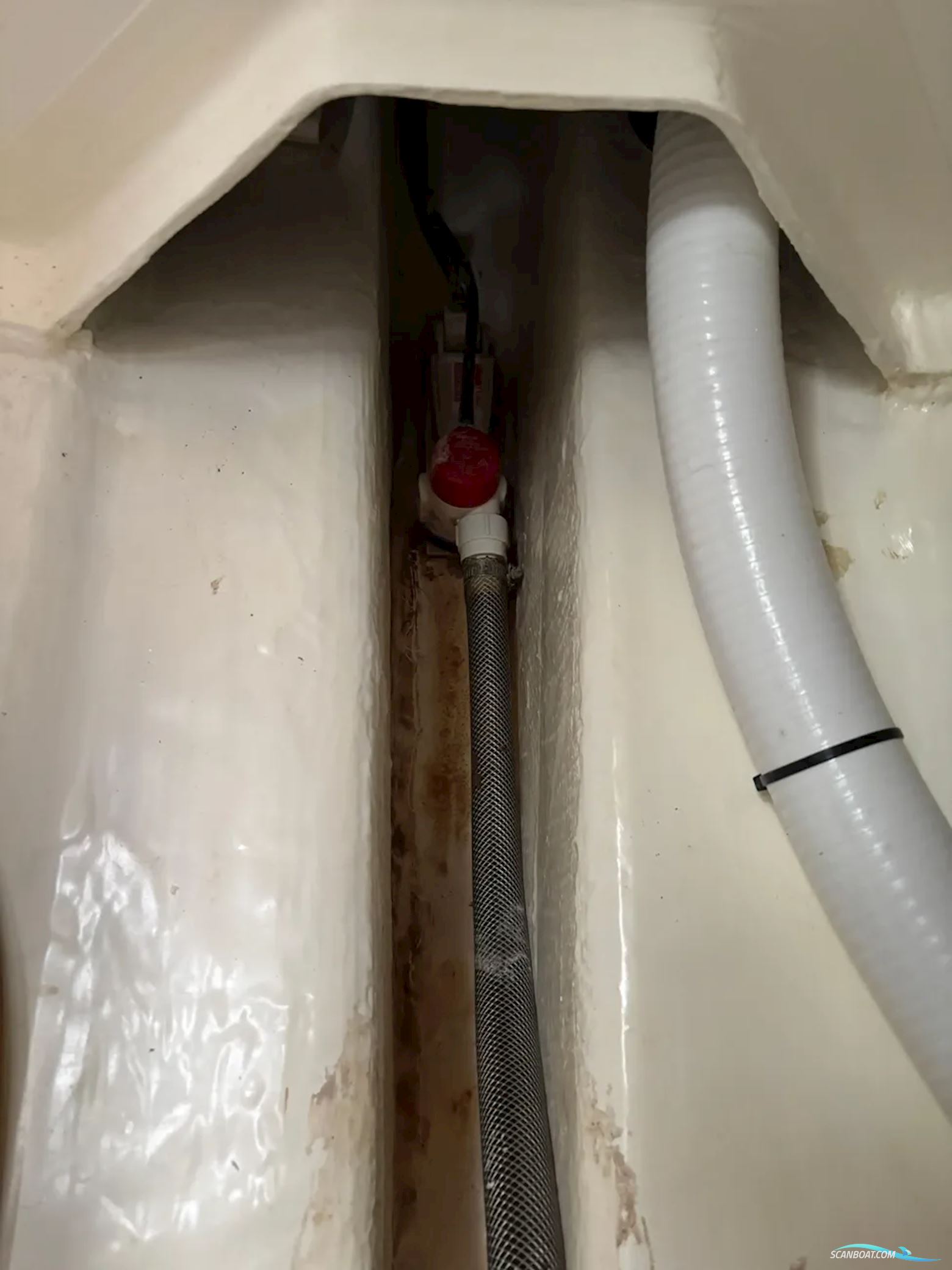 Leopard 40
