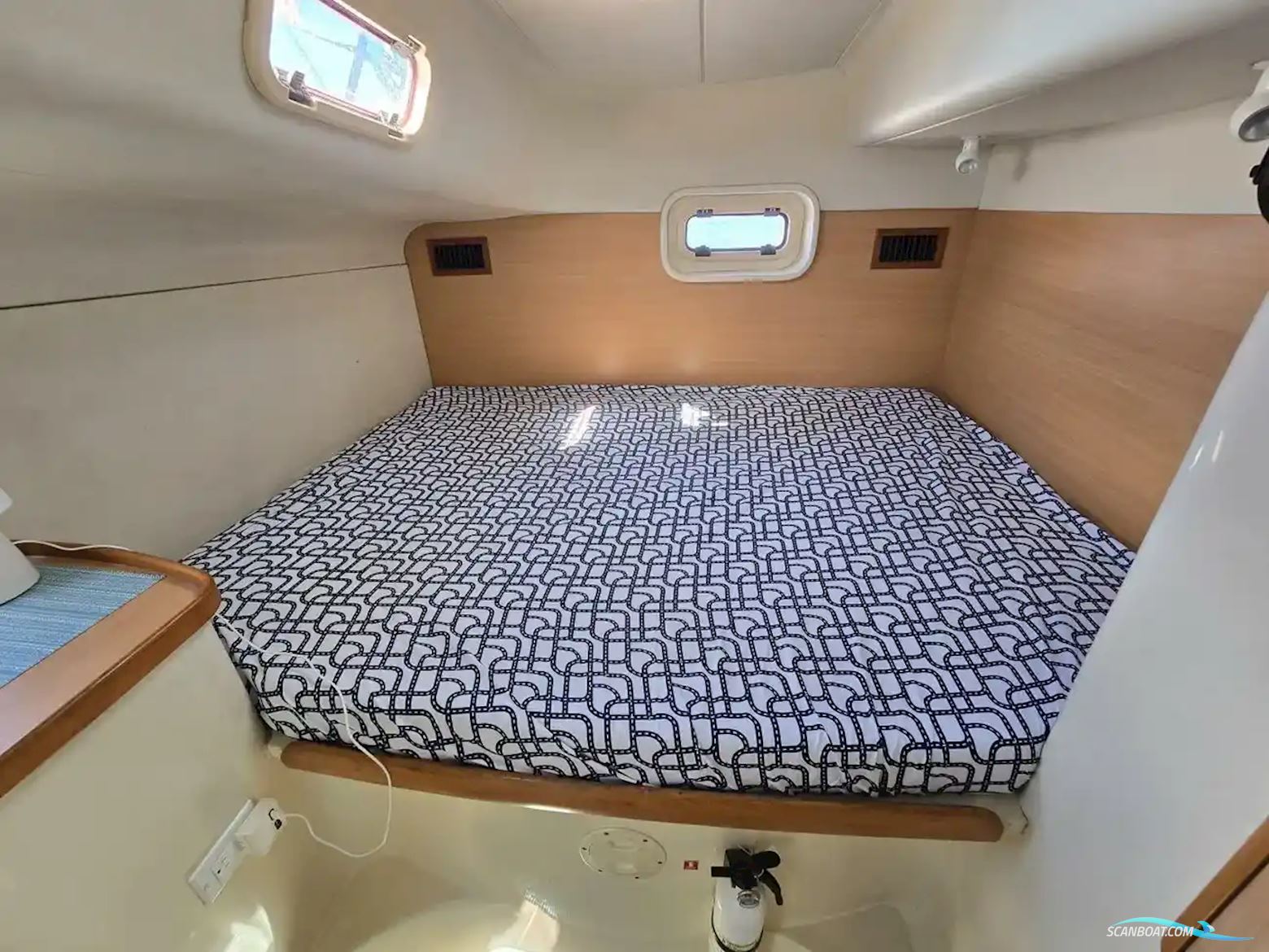 Leopard 43