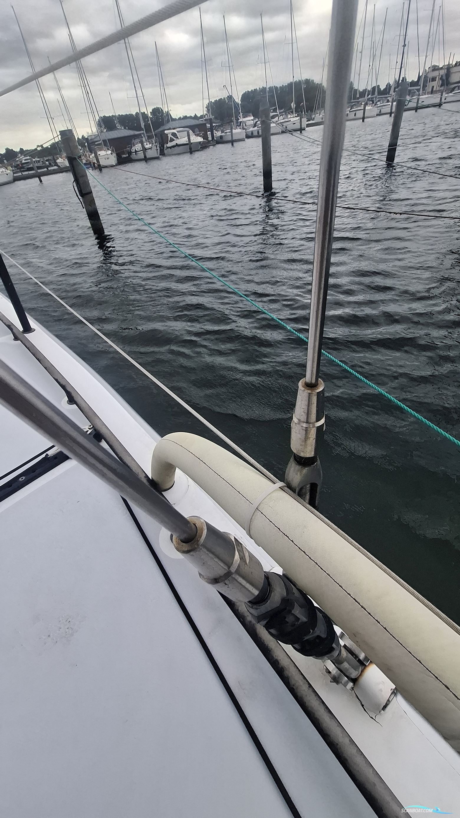 Lion Yachts Class 40