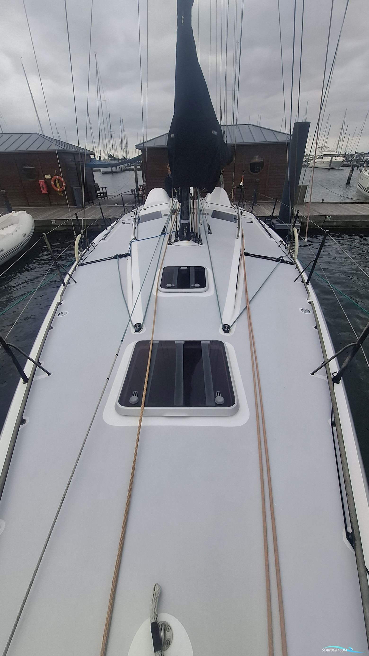 Lion Yachts Class 40