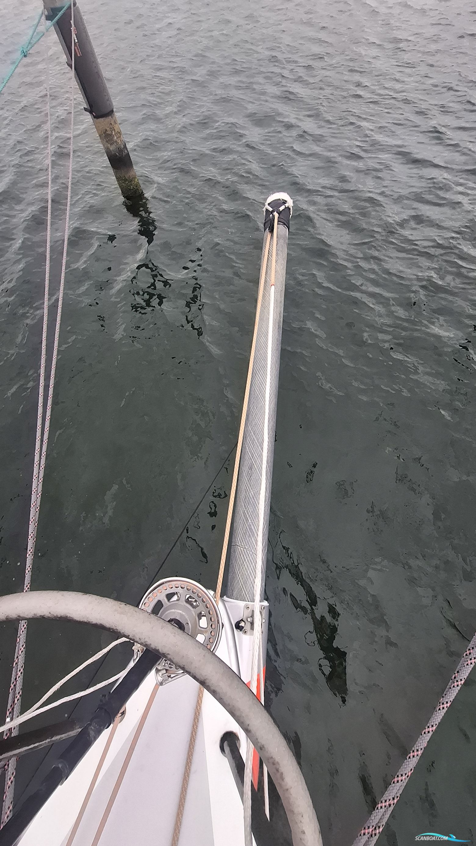 Lion Yachts Class 40