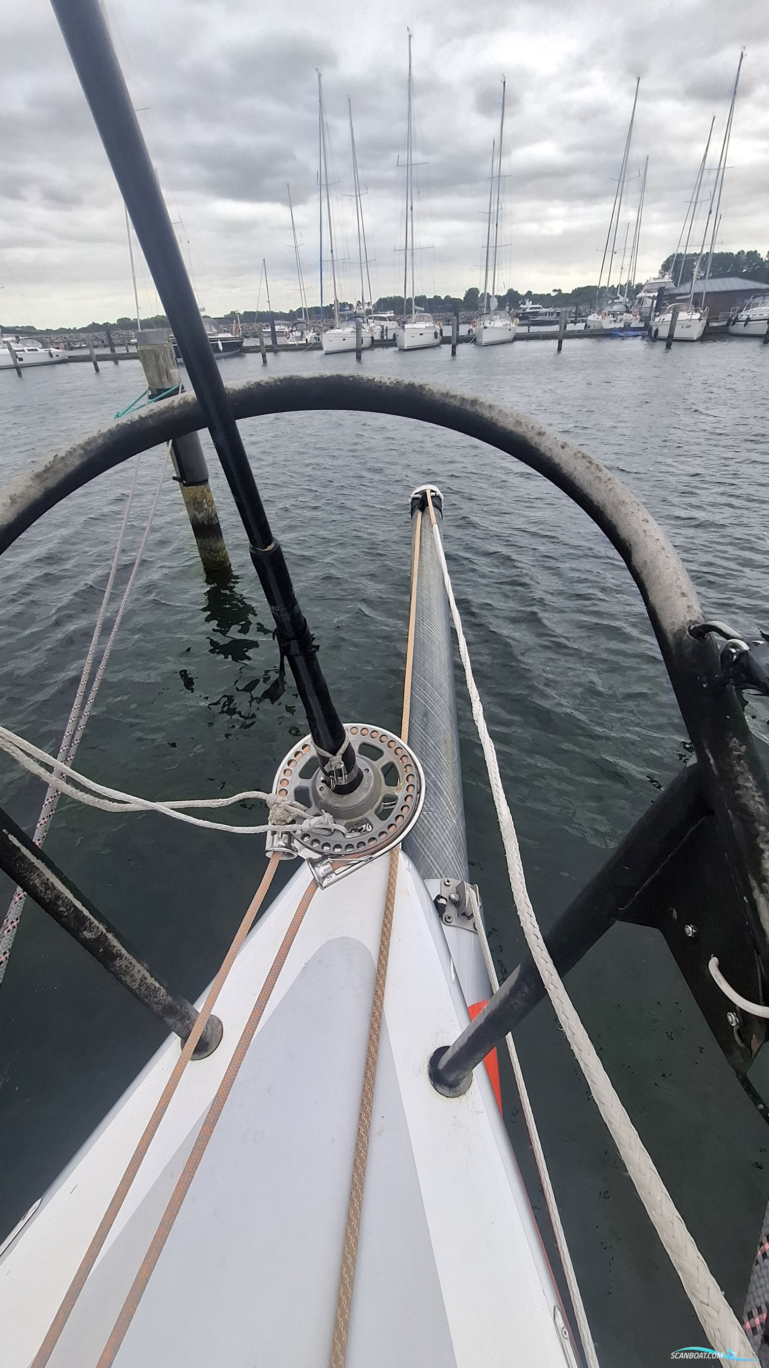 Lion Yachts Class 40