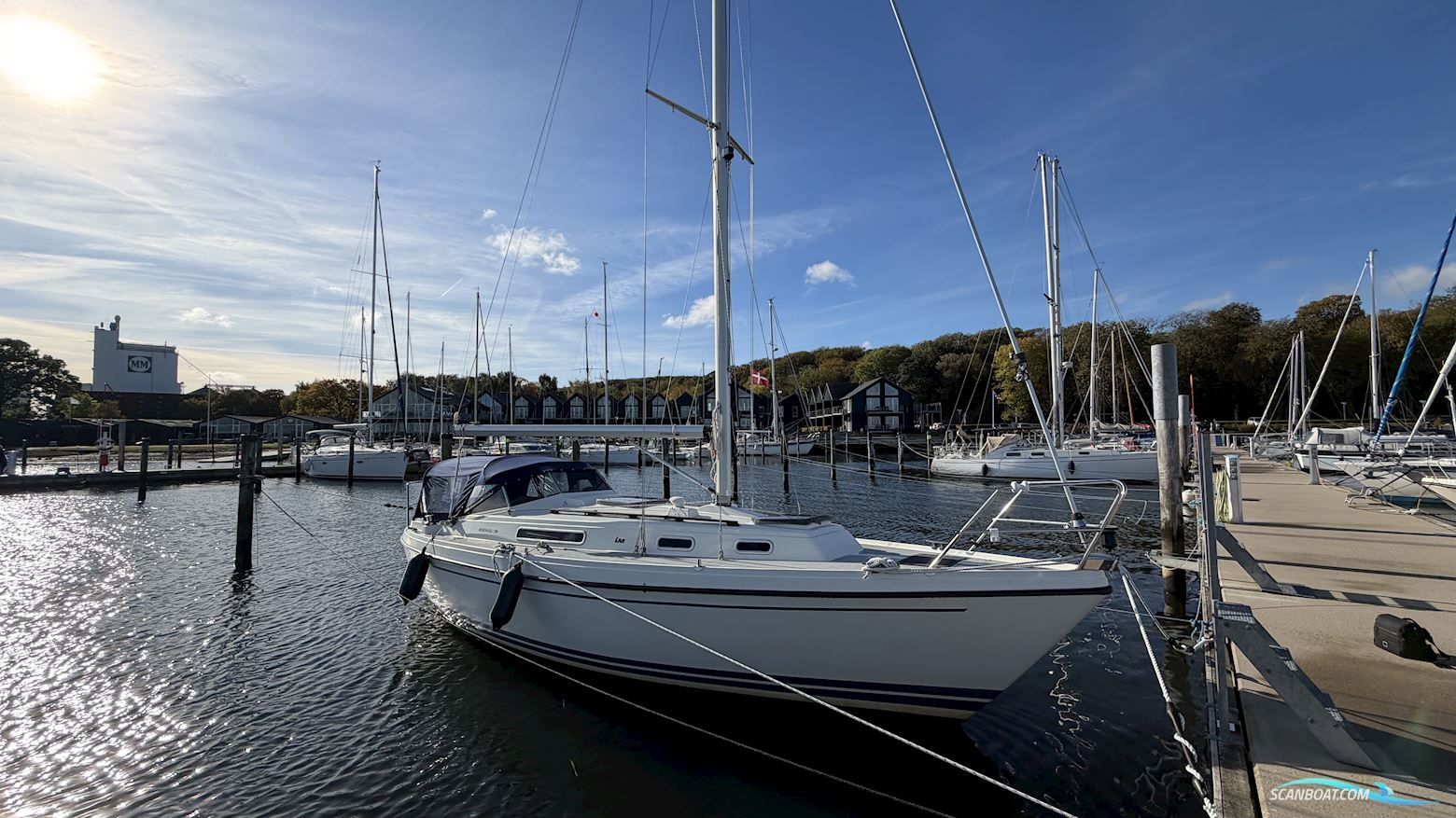 LM Mermaid 290