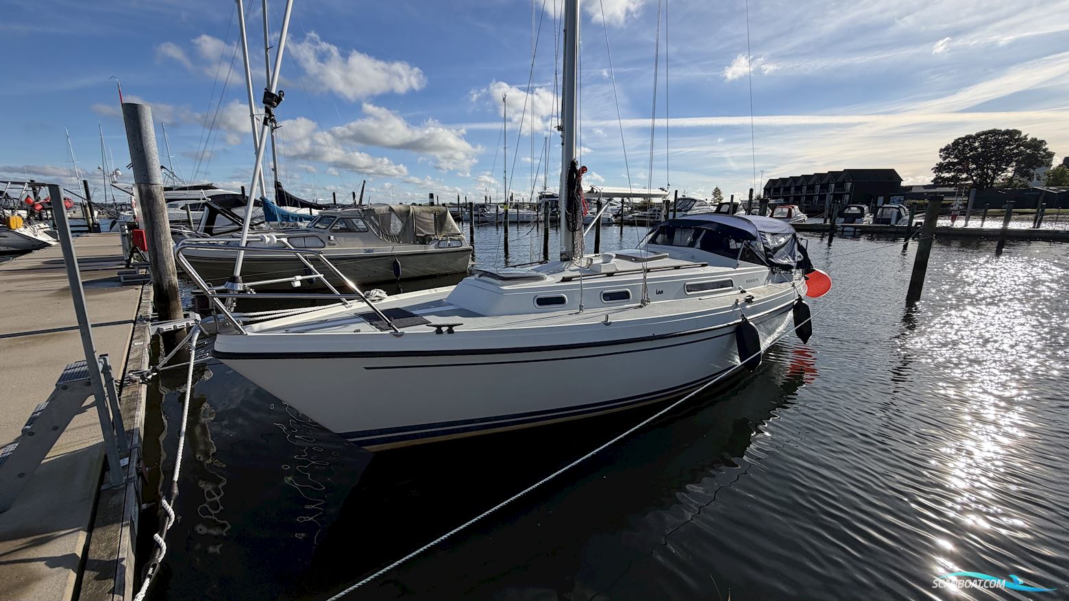 LM Mermaid 290