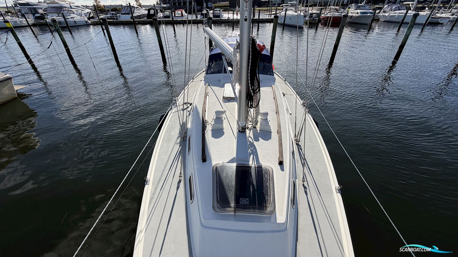 LM Mermaid 290