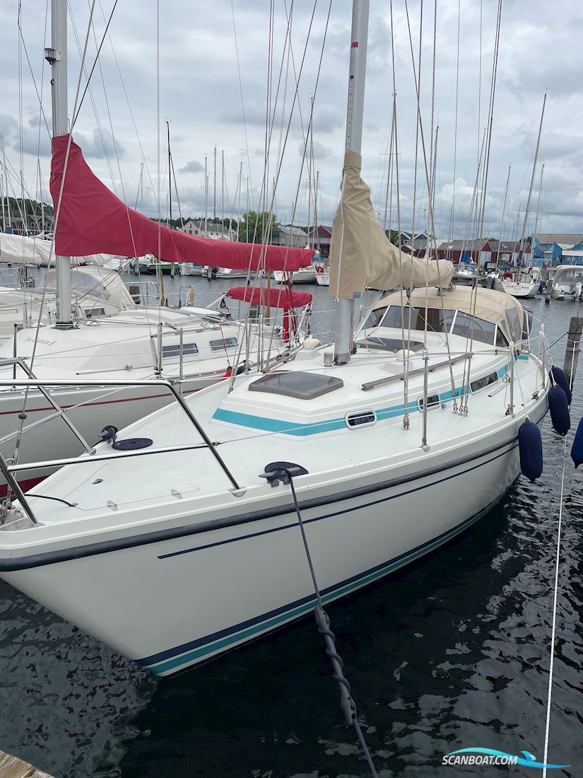LM Mermaid 315