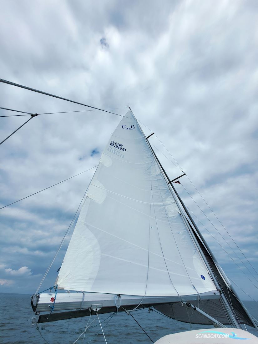 Luffe 37