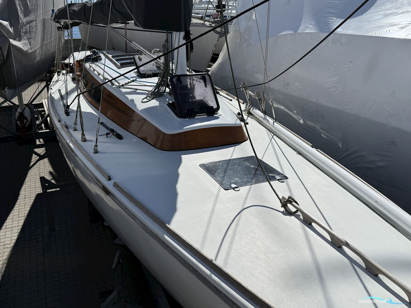 Luffe 40 One Off. NEDSAT