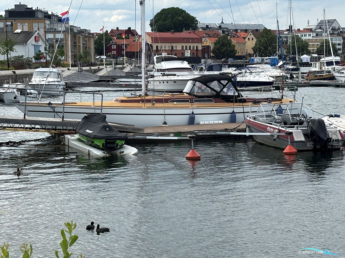 Luffe 44