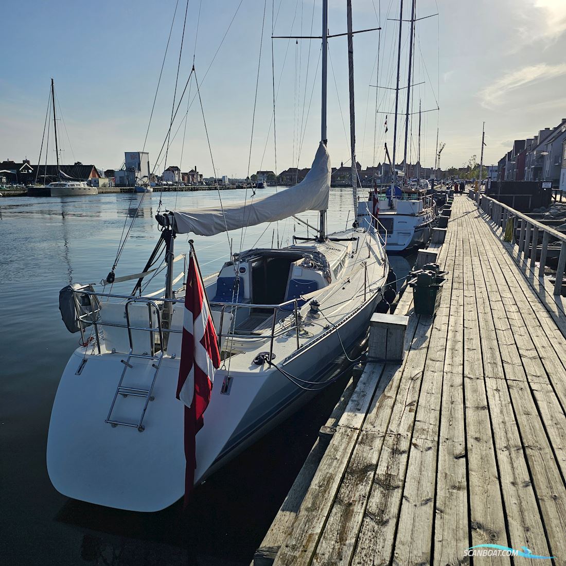 Luffe 44