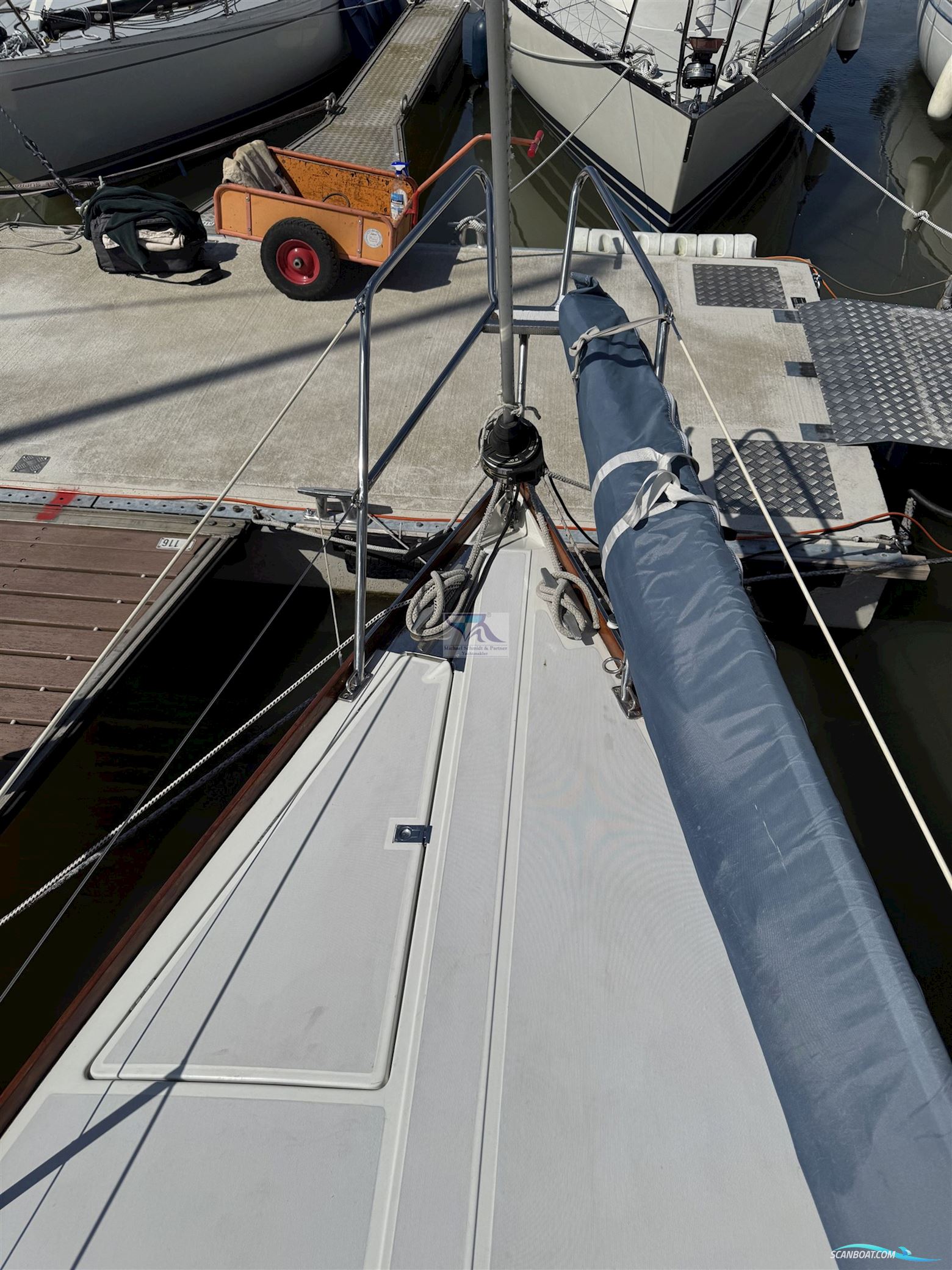 Mallard Ecume de Mer