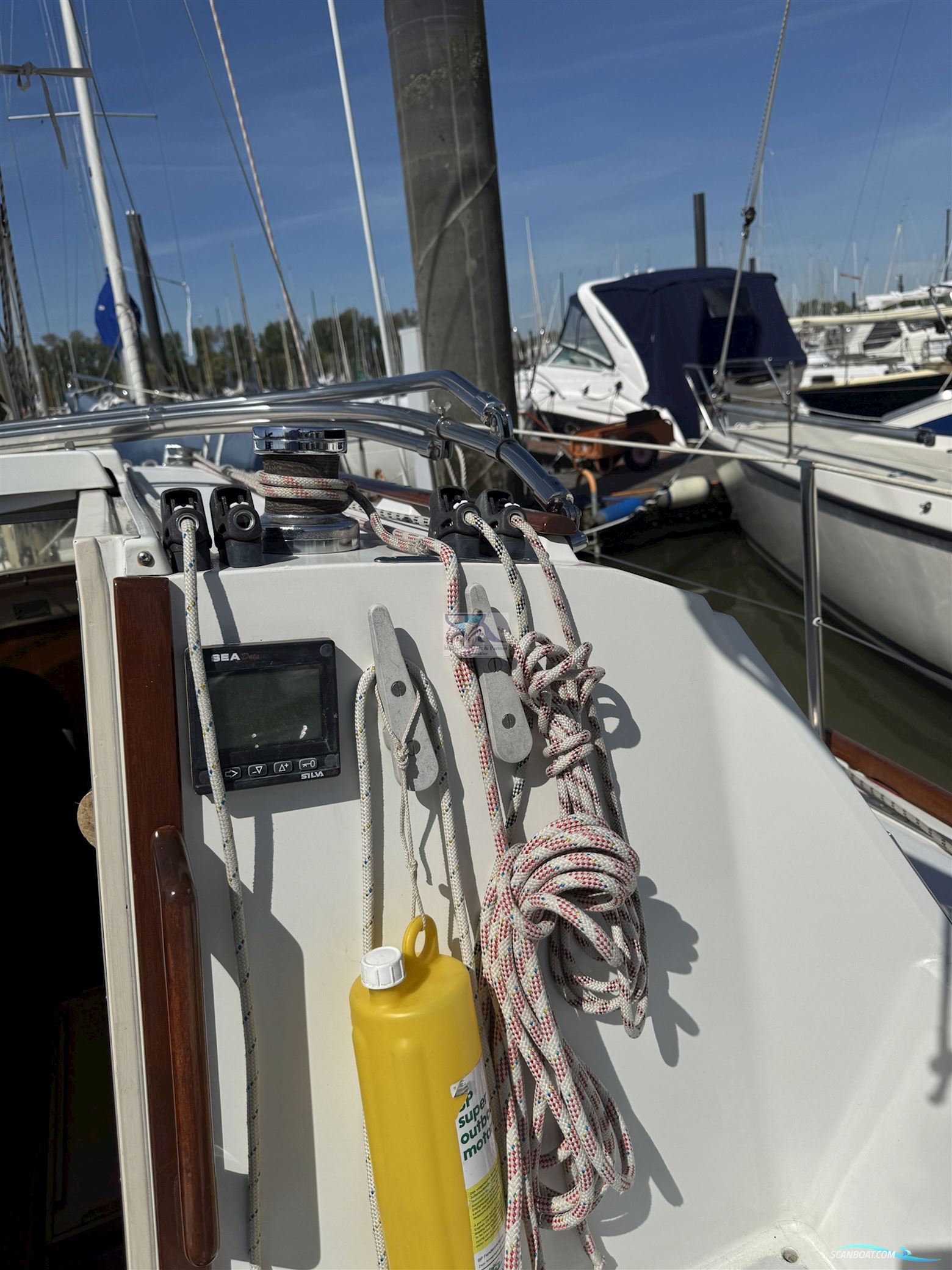 Mallard Ecume de Mer