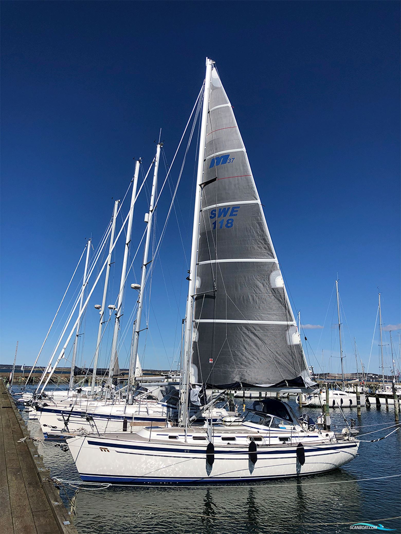 Malö 37 Classic