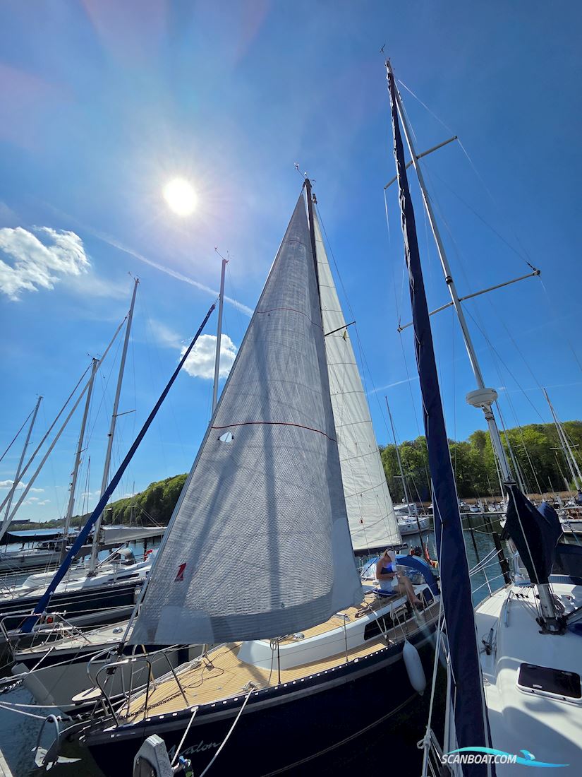 Marckmann Konsul 37