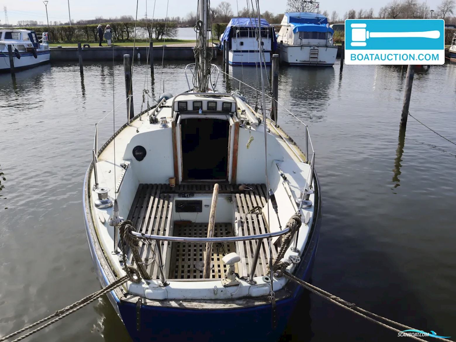Martin 29