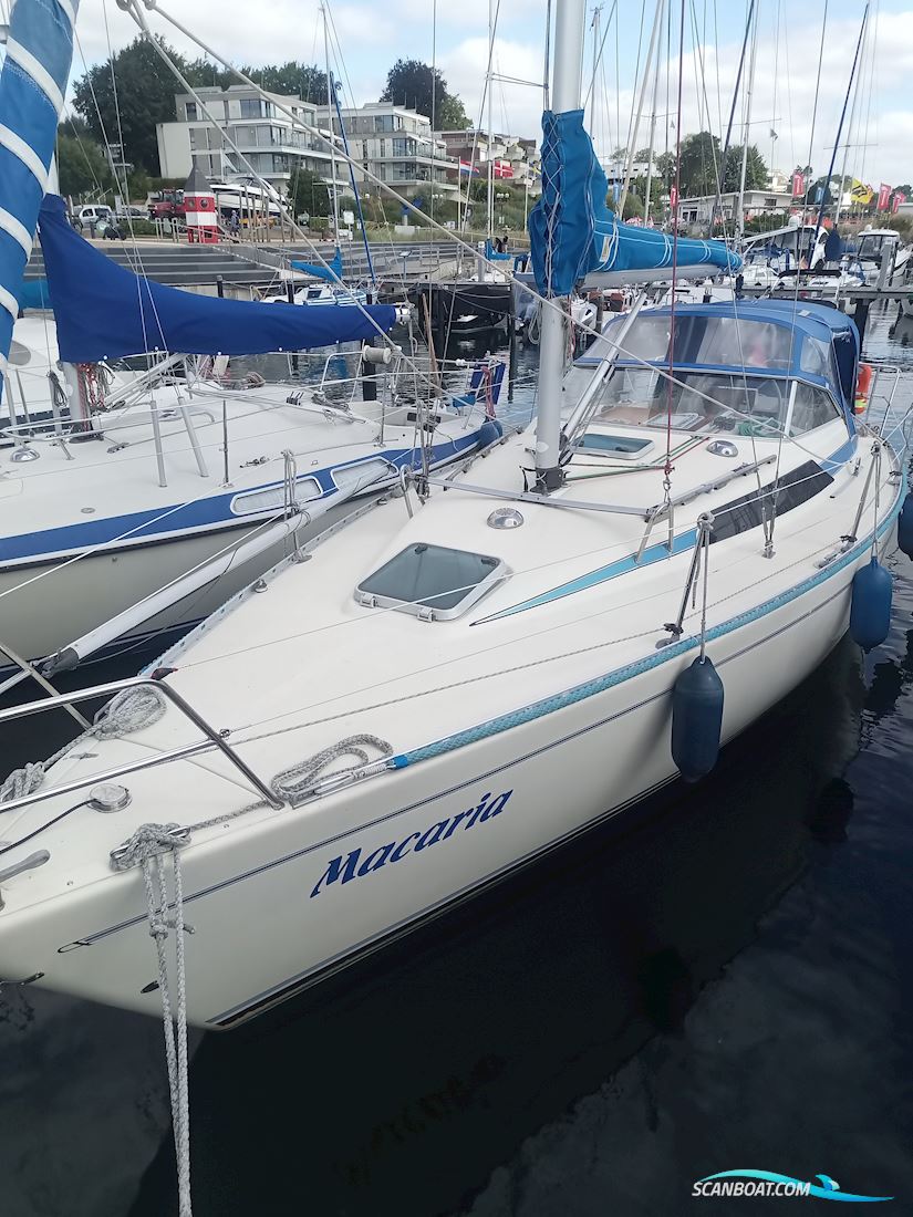 Maxi 33