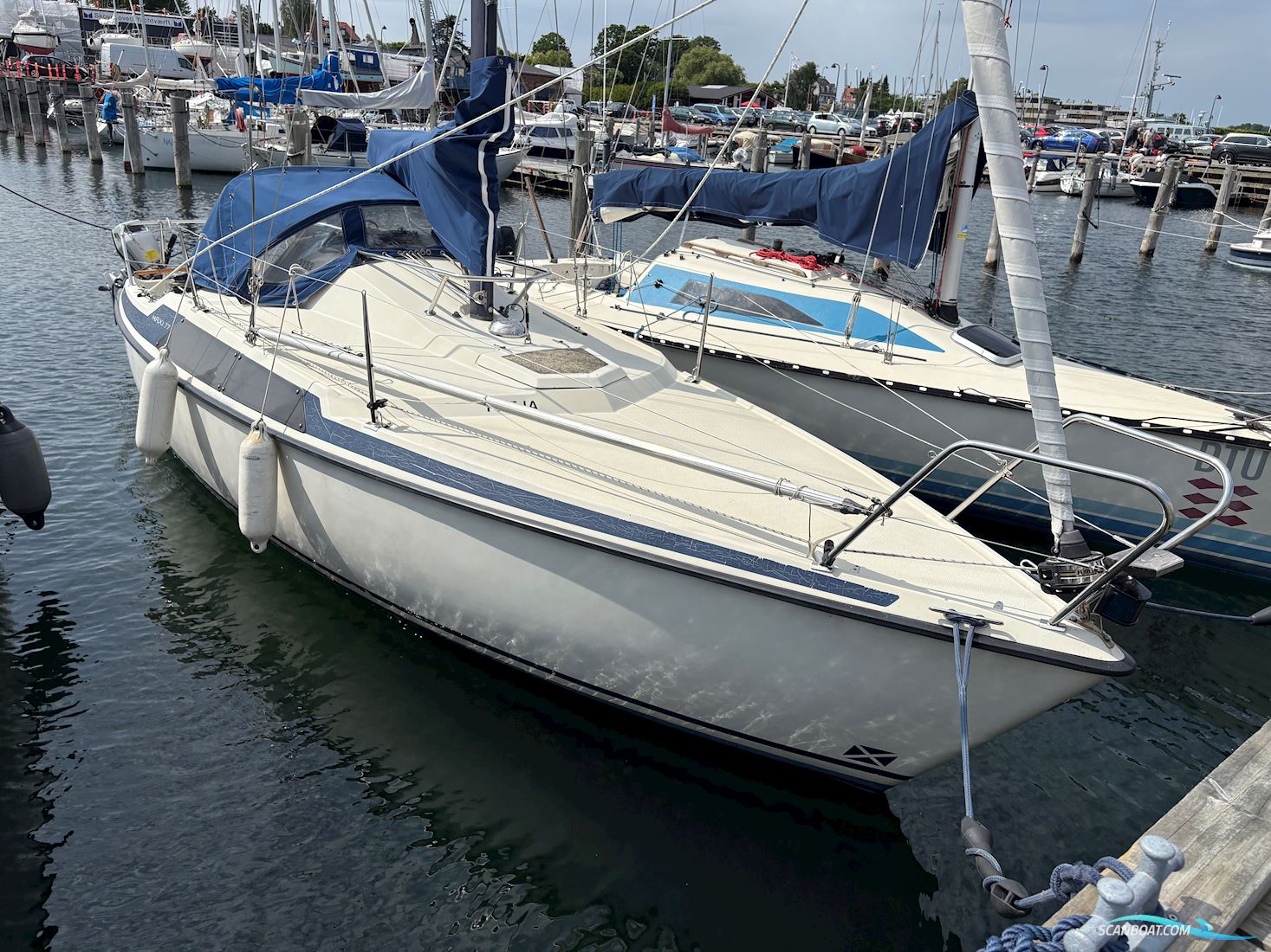 Maxi 77