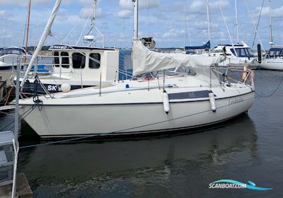 Maxi 84 Sailingboat 1979, with Volvo Penta engine, Denmark