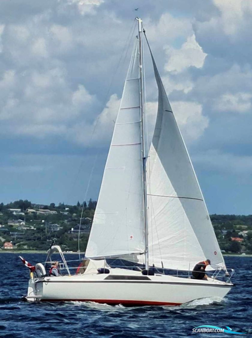Maxi 84