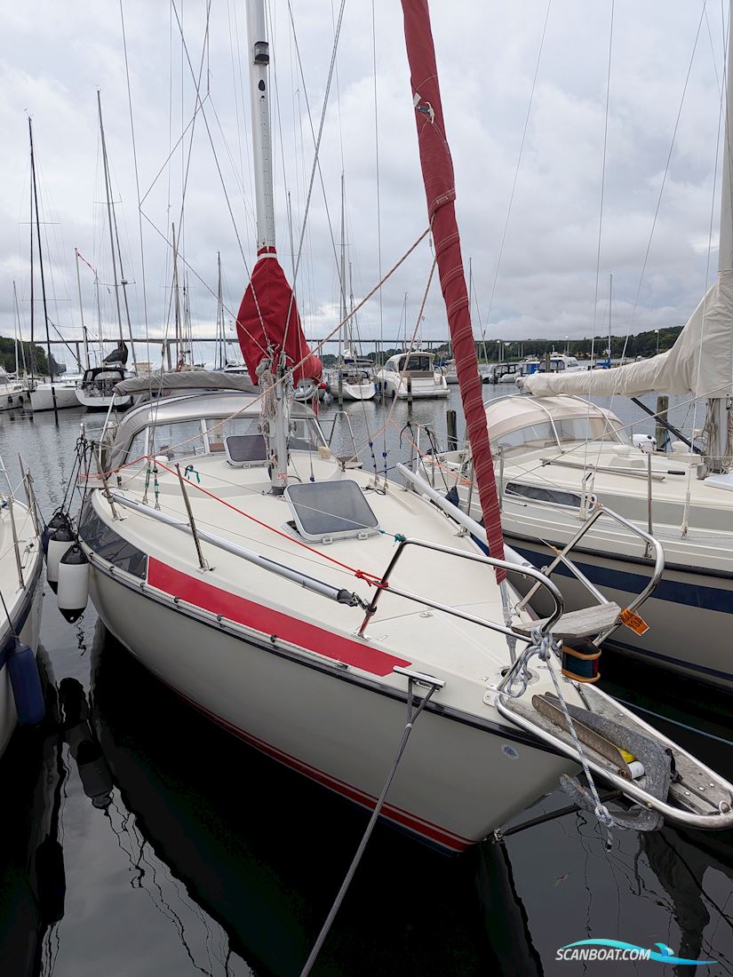 Maxi 95