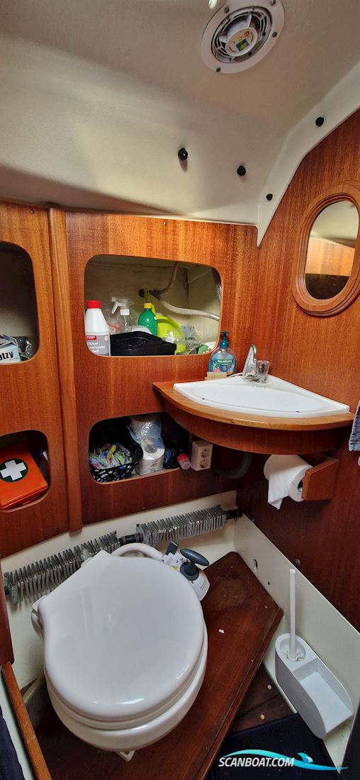 Maxi Fenix Dinette Med Nyere Motor.