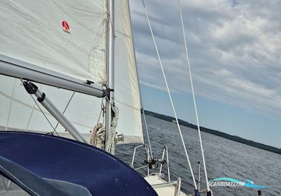 Maxi Fenix Dinette Sailingboat 1984, with Volvo Md5A engine, Denmark