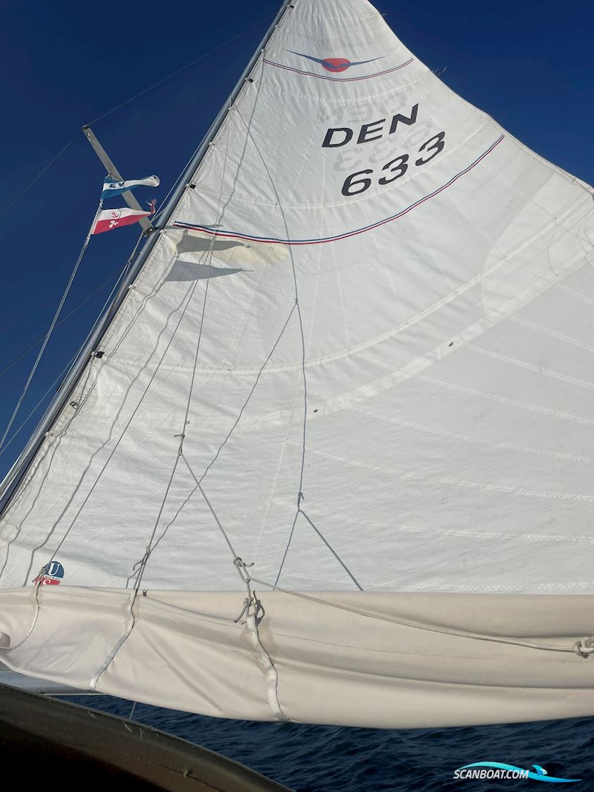 Maxi Fenix