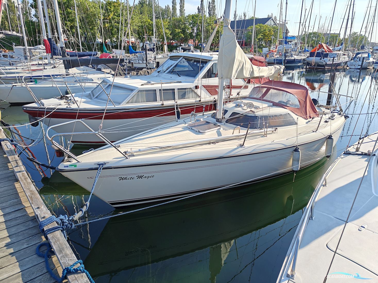 Maxi Magic