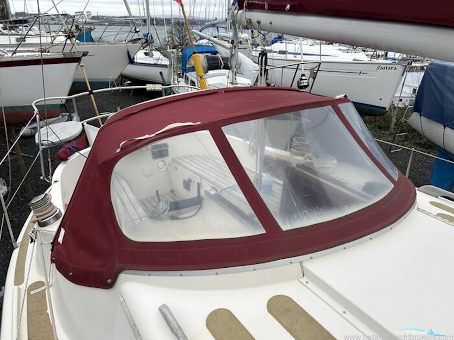 Midget 31
