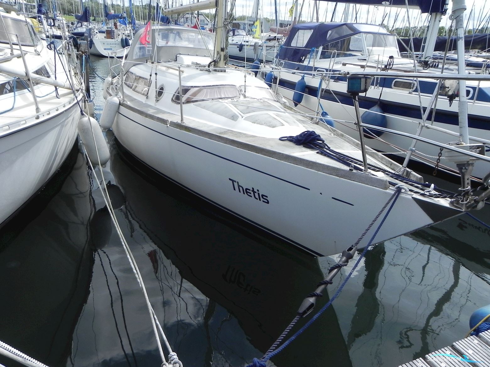 Mistral Sirocco 31