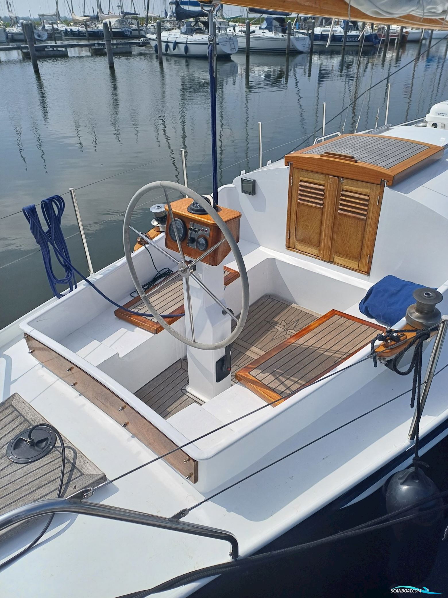 Moerman 29